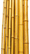 Bamboo Poles