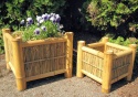 Bamboo Planter